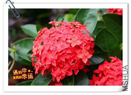 ��Ƭ 021_����.jpg