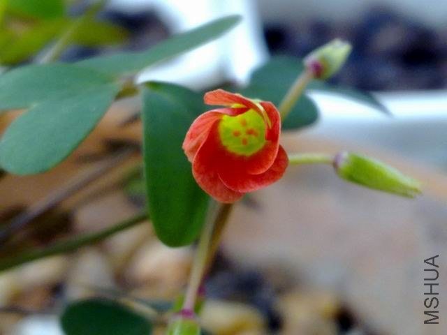 ������С 201209243805.jpg