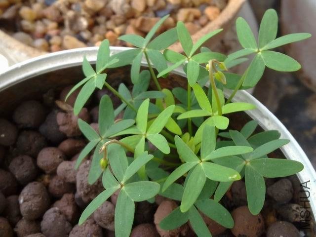 ������С 201209243798.jpg