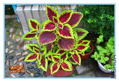 ��Ƭ 038_����.jpg