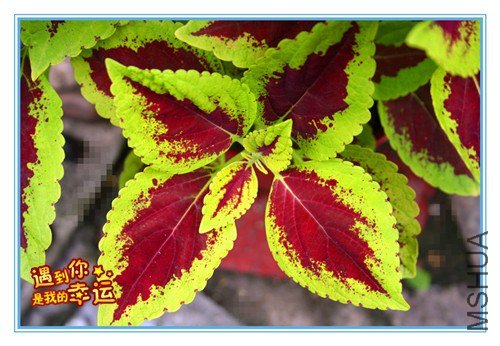 ��Ƭ 039_����.jpg