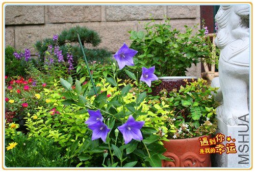 ��Ƭ 007_����.jpg