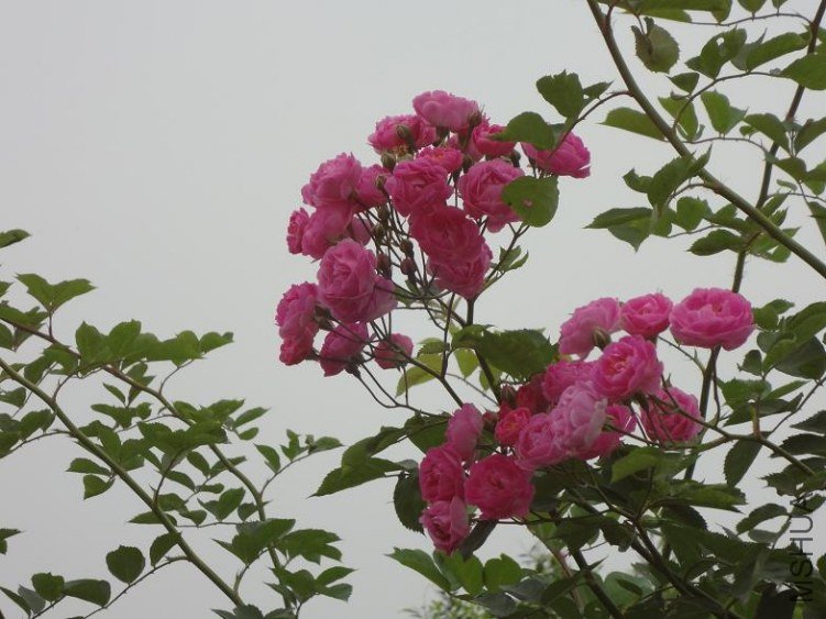 DSC00644.JPG