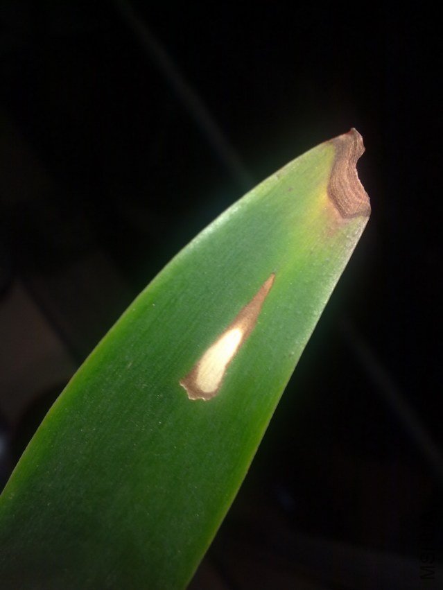 20120920518_resize.jpg