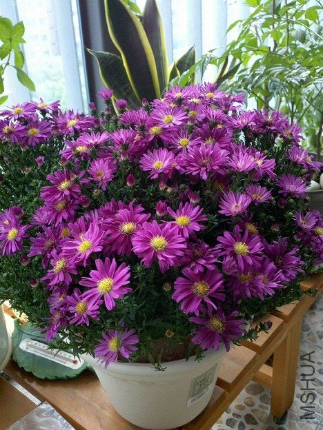 C360_2012-09-22-15-54-54_org.jpg