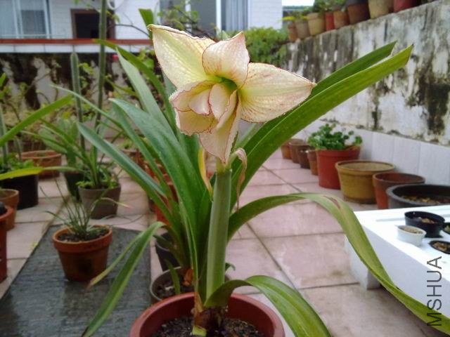 ������С 201209253832.jpg