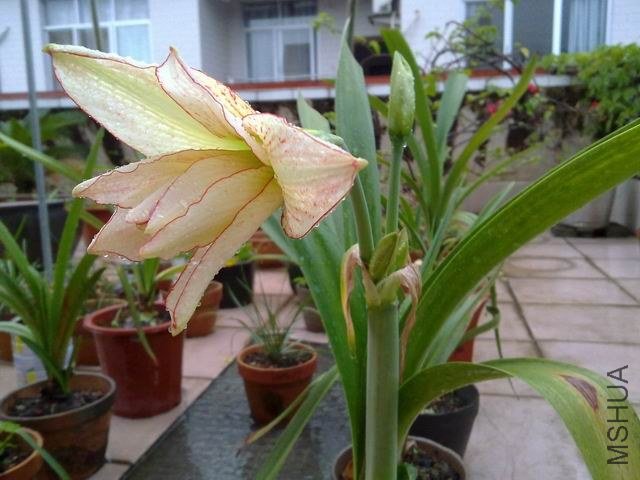 ������С 201209253834.jpg