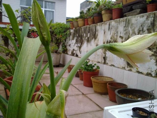 ������С 201209253839.jpg