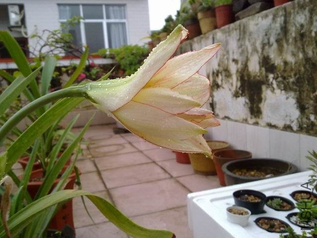 ������С 201209253841.jpg