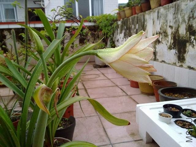 ������С 201209253843.jpg