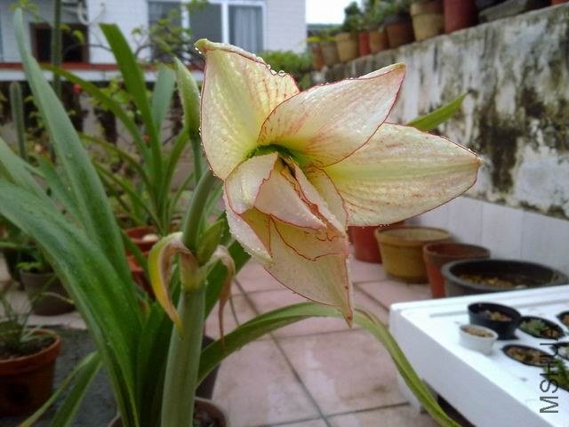 ������С 201209253844.jpg