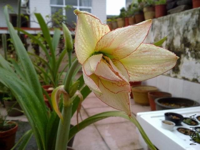 ������С 201209253845.jpg