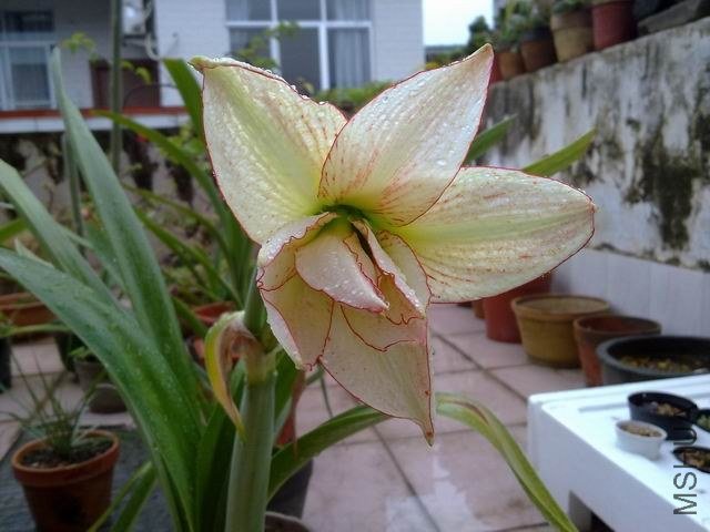 ������С 201209253848.jpg