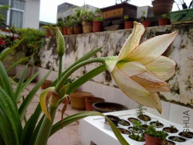 ������С 201209253849.jpg