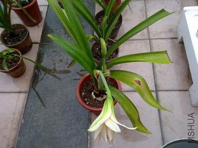 ������С 201209253850.jpg