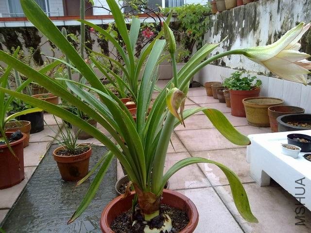 ������С 201209253851.jpg