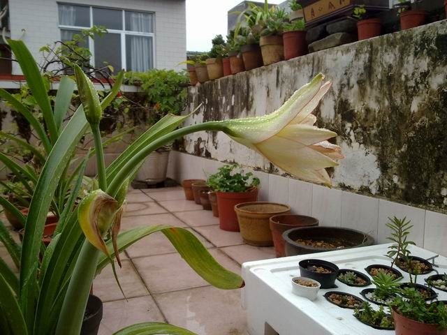 ������С 201209253852.jpg