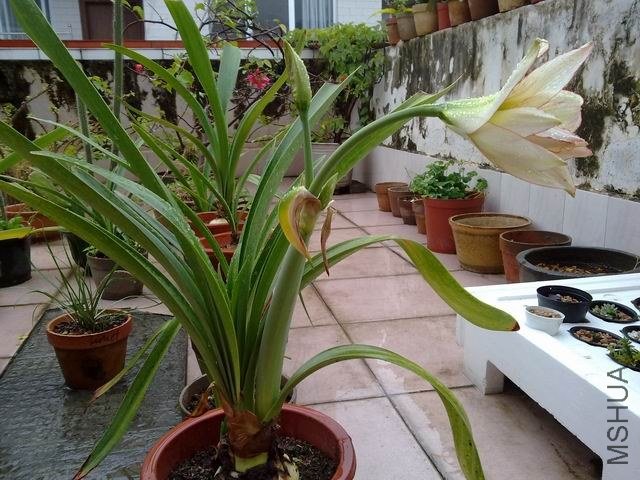 ������С 201209253854.jpg