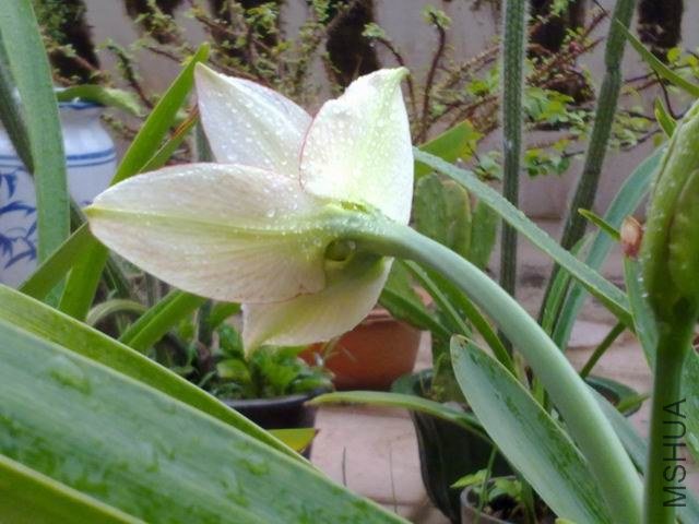 ������С 201209253857.jpg