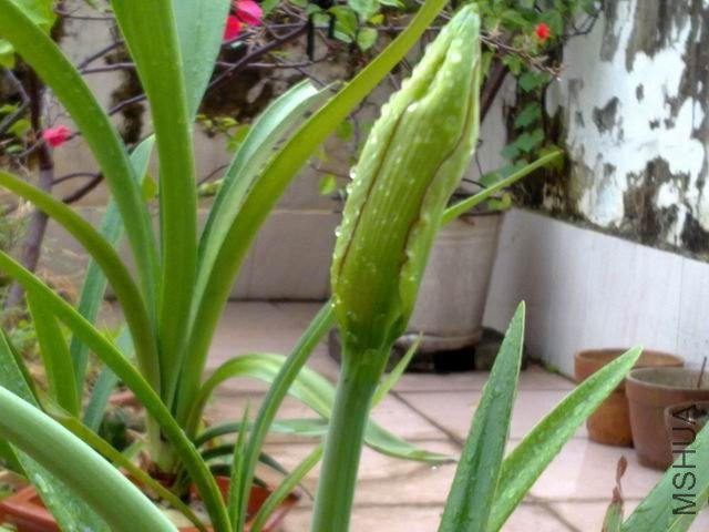 ������С 201209253859.jpg