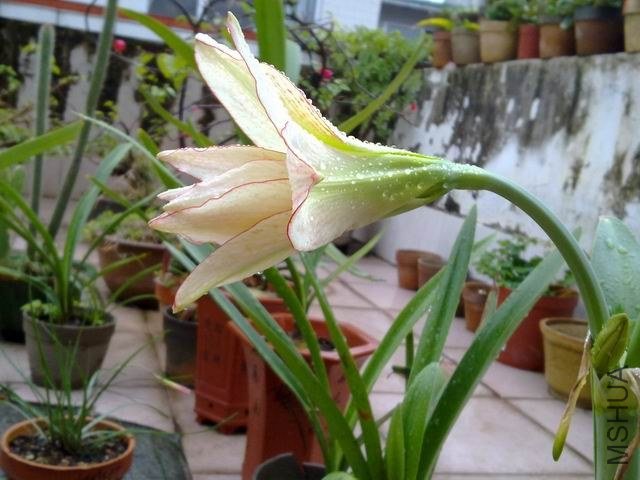 ������С 201209253861.jpg