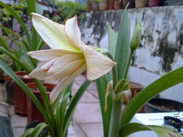 ������С 201209253863.jpg