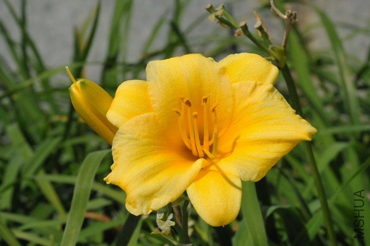 2012.8 409.jpg