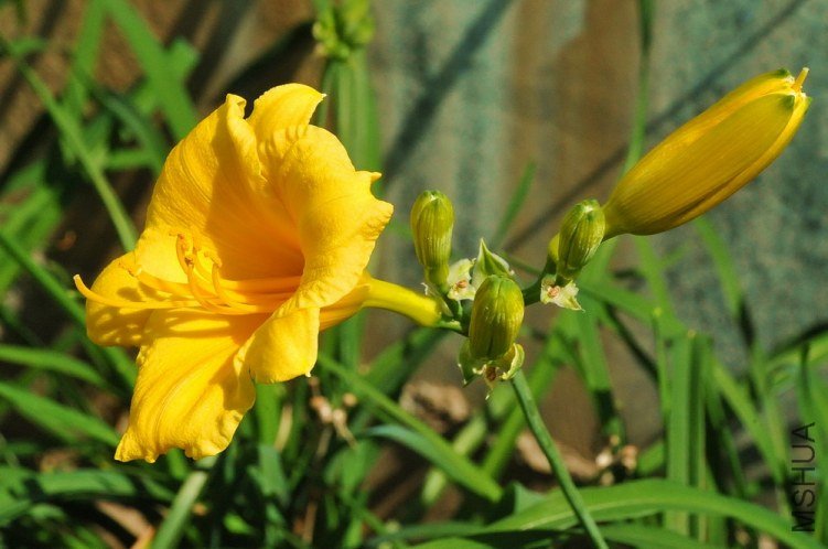 2012.8 412.jpg