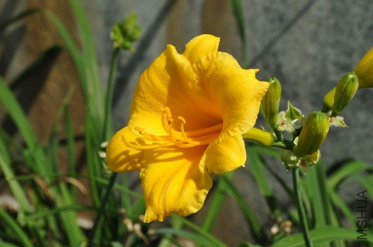 2012.8 414.jpg