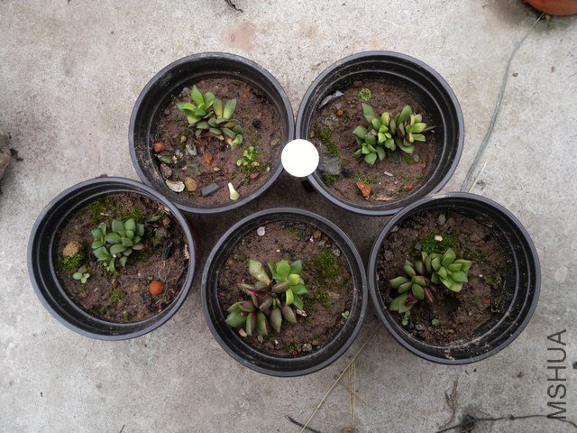 �����