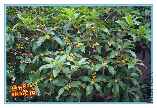 ��Ƭ 052_����.jpg