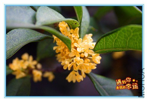 ��Ƭ 053_����.jpg