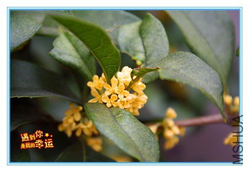 ��Ƭ 056_����.jpg