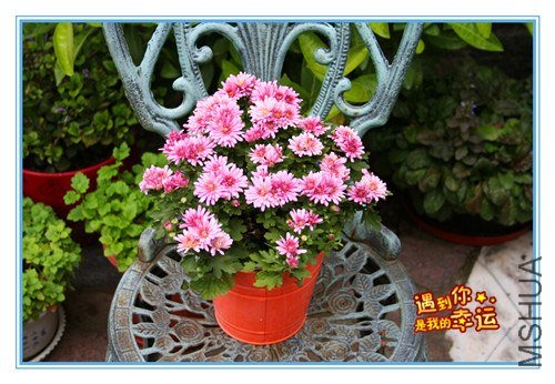 ��Ƭ 017_����.jpg