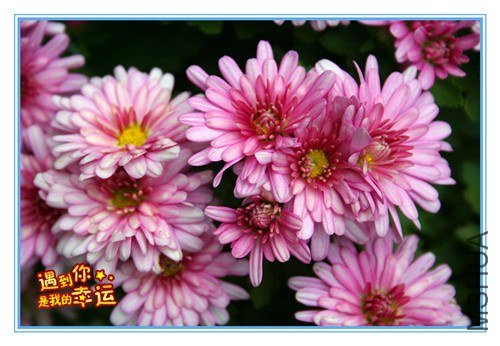 ��Ƭ 019_����.jpg