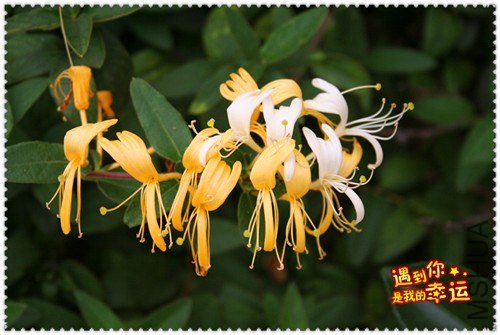 ��Ƭ 067_����.jpg