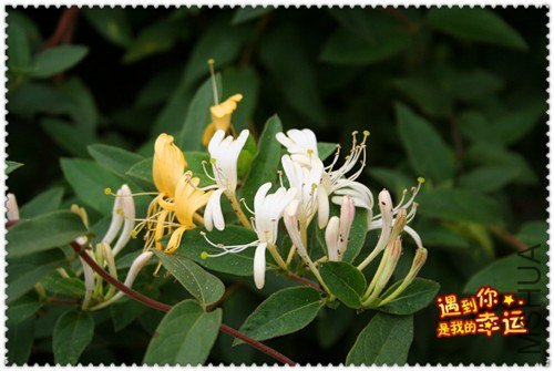 ��Ƭ 069_����.jpg