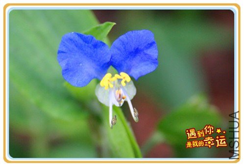 ��Ƭ 082_����.jpg