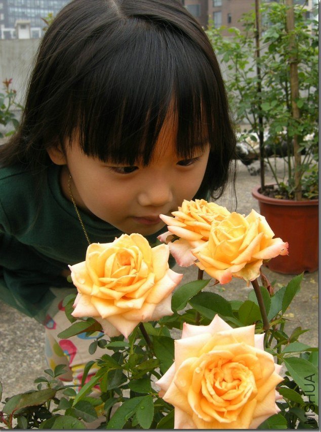 ܰܰ�硪����