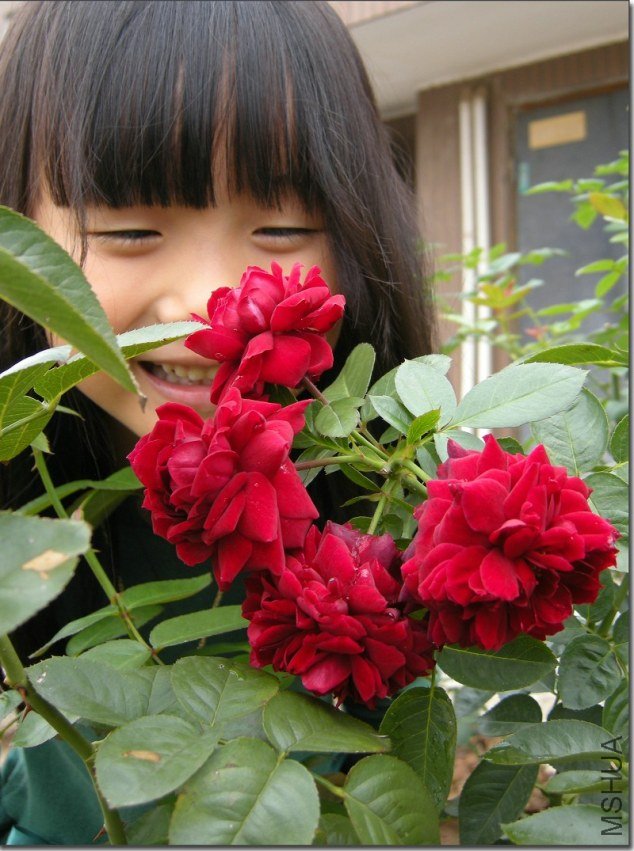 ܰܰ�硪������