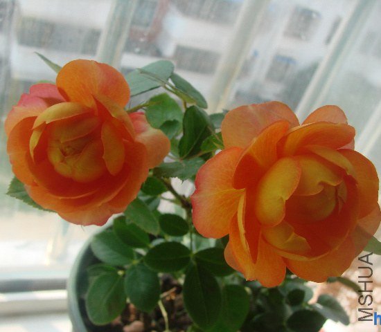 DSC07859.JPG