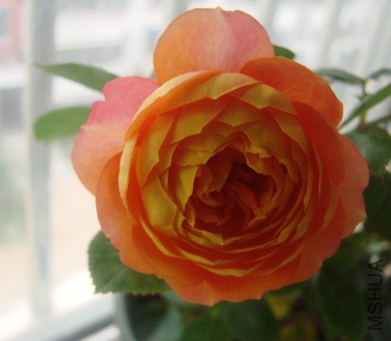 DSC07871.JPG