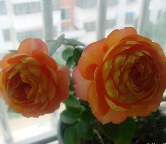 DSC07872.JPG