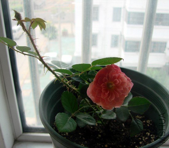 DSC07214.JPG