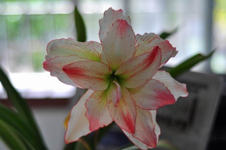 ������С DSC_0045.JPG