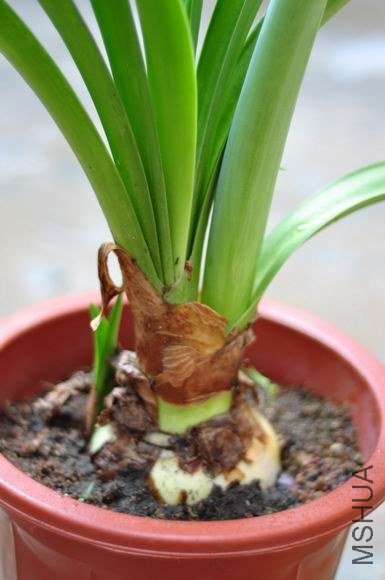 ������С DSC_0070.JPG