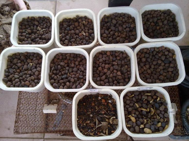 ������С 201209263907.jpg