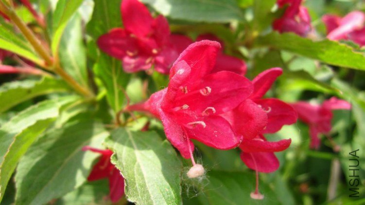 IMG_0944.JPG