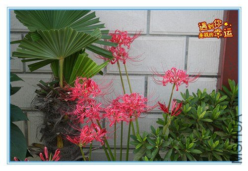 ��Ƭ 239_����.jpg