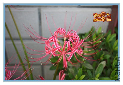 ��Ƭ 242_����.jpg